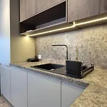 公寓 Luxurious Almond Apartment, Self Check-in 24h, Free Parking, Air-conditioning *
